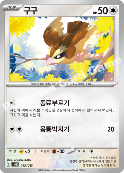 Pidgey (구구)