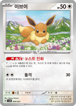 Eevee (이브이)