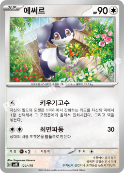 Indeedee (에써르)