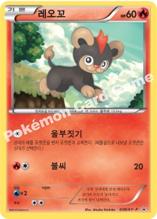 레오꼬