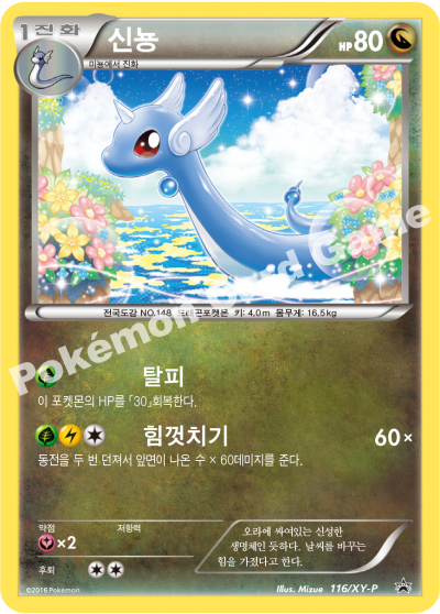 신뇽